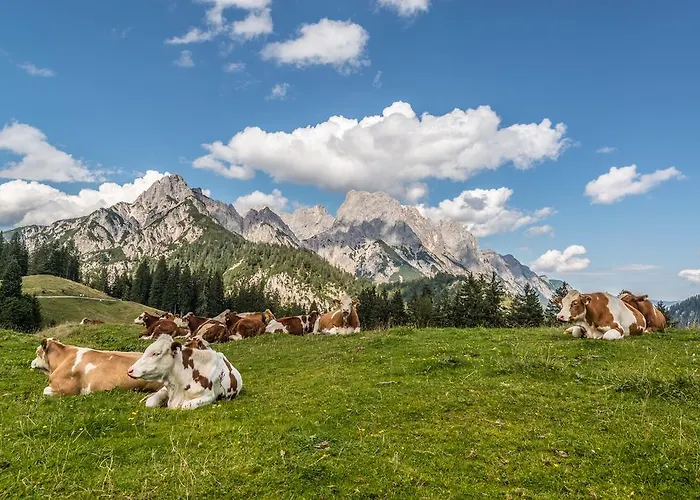Haus Gold Διαμέρισμα Fusch an der Grossglocknerstrasse