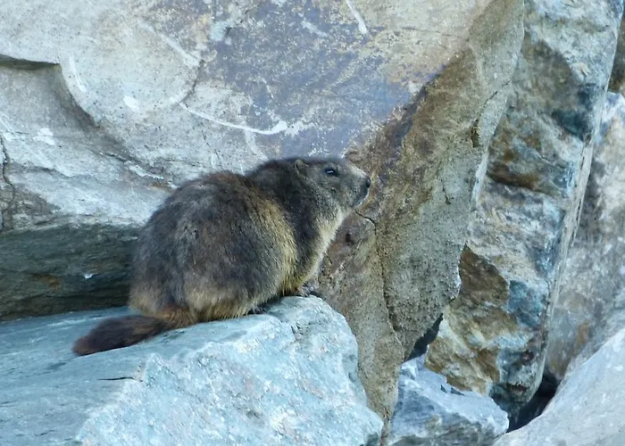 Haus Gold Fusch an der Grossglocknerstrasse